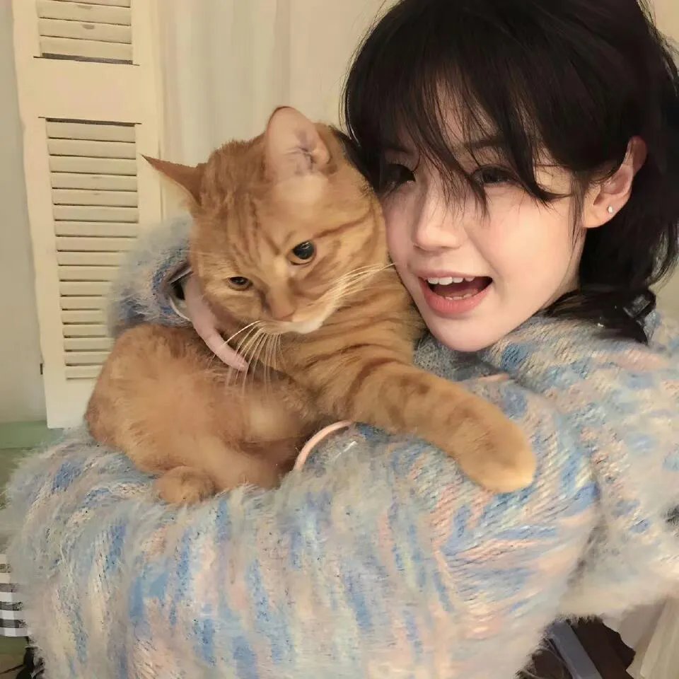 猫头鹰的哭泣